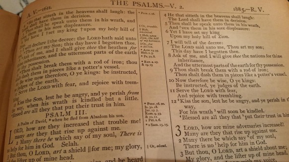 Example page from an original 1885 Bible that has TWO translations side by side