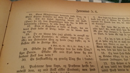 Close up of a page from the original 1890 Danish Bible